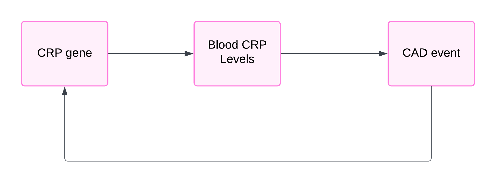 Mandelian Randomization Graph